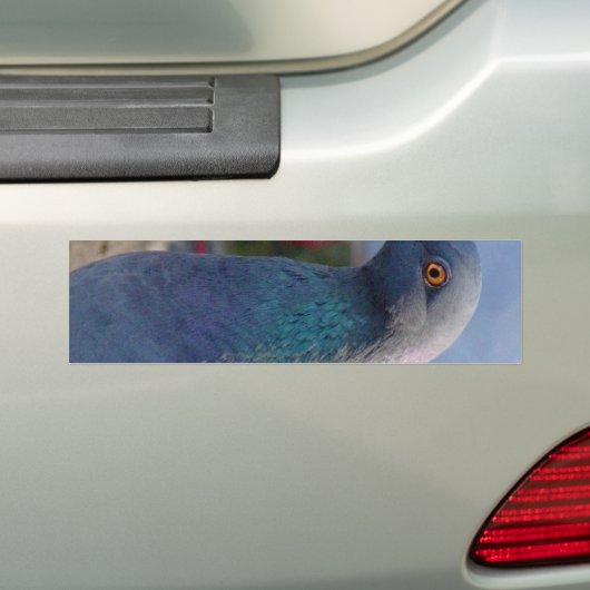 duif bumpersticker (Op auto)