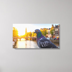 duif canvas afdruk