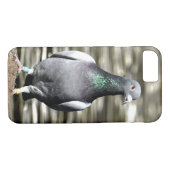 duif Case-Mate iPhone case (Achterkant (Horizontaal))