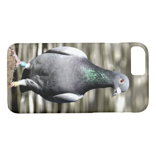 duif Case-Mate iPhone case (Achterkant (Horizontaal))