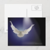 Duif die door lichtstraal vliegen briefkaart (Voorkant / Achterkant)