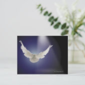 Duif die door lichtstraal vliegen briefkaart (Staand voorkant)