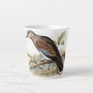 Duif Duif Streptopelia Schilderij Natuur Vogels Ku Latte Mok
