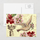  duif en bad briefkaart (Voorkant / Achterkant)