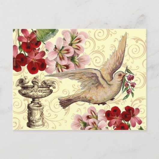  duif en bad briefkaart (Voorkant)