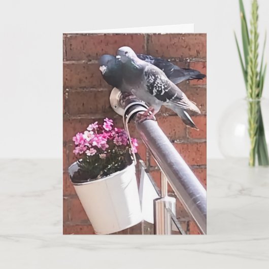Duif en bloemen groeten kaart (Voorkant)