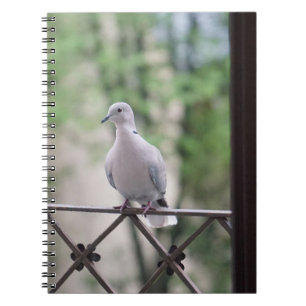 Duif en duiven Vogelliefhebbers Fotografie Notitieboek