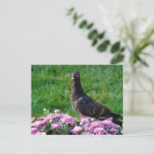 Duif en Mummies Briefkaart (Staand voorkant)