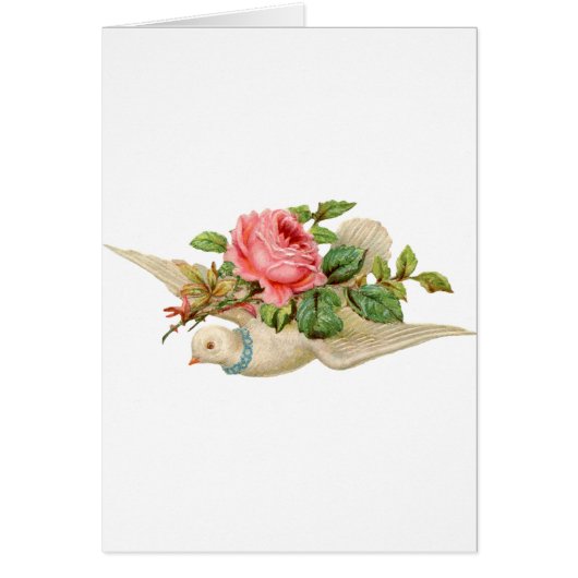  duif en Roos (Voorkant)