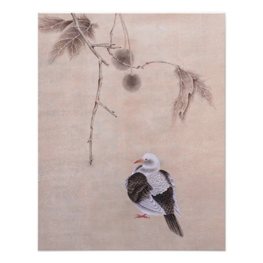 duif foto afdruk (Voorkant)