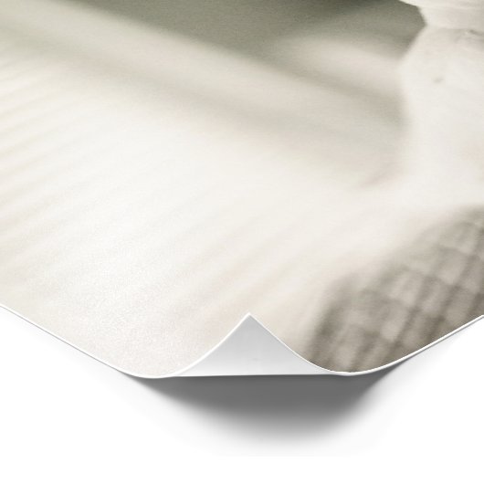 duif foto afdruk (Hoek)