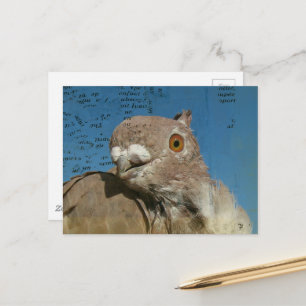 Duif genaamd Mr. Pigeon Abstracte Woorden Briefkaart