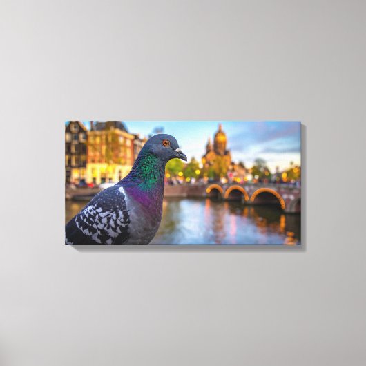 Duif in de stad canvas afdruk (Voorkant)