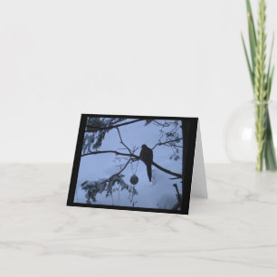 Duif in de winter Notecard Kaart