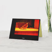  duif kaart (Achterkant)