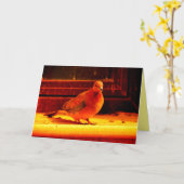  duif kaart (Gele Bloem)