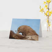 duif kaart (Gele Bloem)