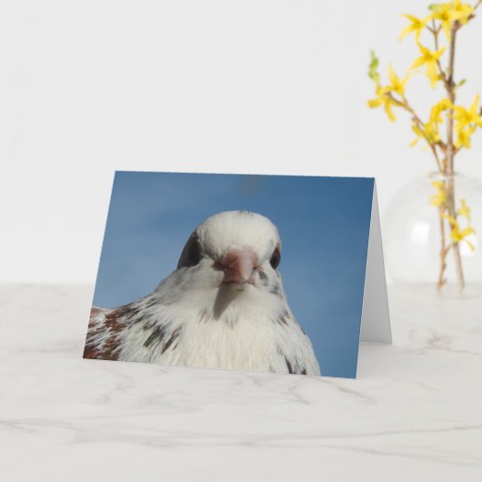 duif kaart (Gele Bloem)