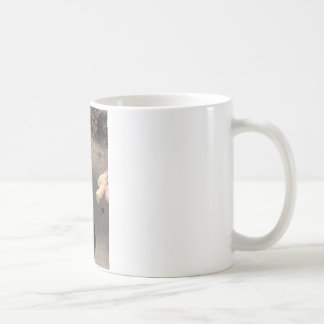 duif koffiemok