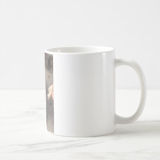 duif koffiemok (Rechts)