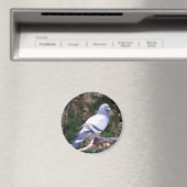 duif magneet (Insitu (Vaatwasser))