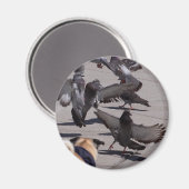 duif magneet (Voorkant / Achterkant)