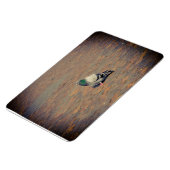 duif magneet (Linkerzijde)