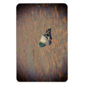 duif magneet (Verticaal)