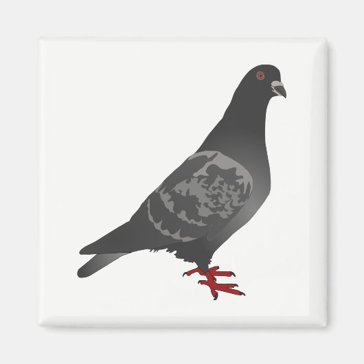 duif magneet (Voorkant)
