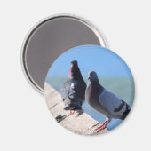 duif magneet (Voorkant / Achterkant)