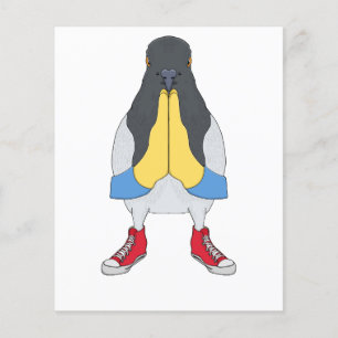 Duif met Schoenen Flyer