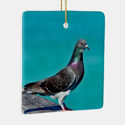 Duif Met Uitzicht Keramisch Ornament (Rechts)