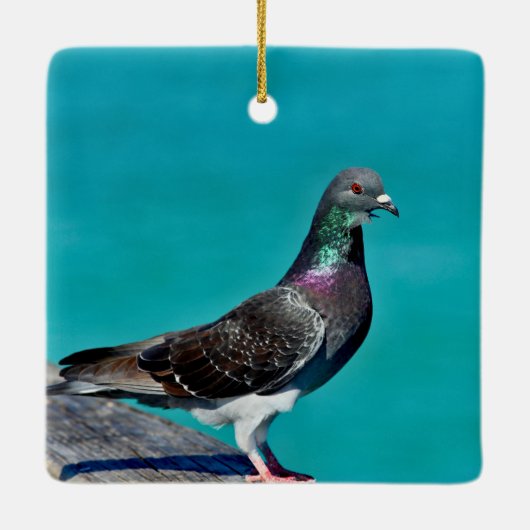 Duif Met Uitzicht Keramisch Ornament (Achterkant)