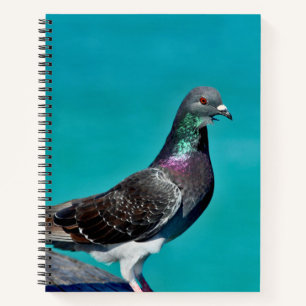 Duif Met Uitzicht Notitieboek