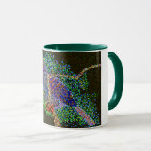 duif mok (Voorkant rechts)