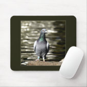 duif muismat (Met muis)