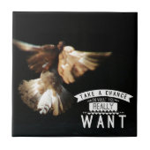 Duif Neem Een Kans Tegeltje (Voorkant)