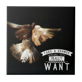 Duif Neem Een Kans Tegeltje