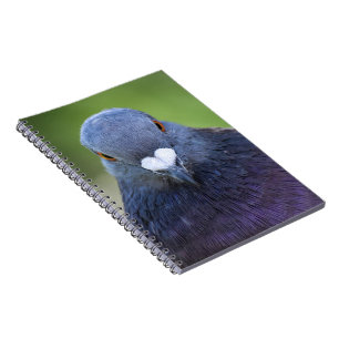 duif notitieboek