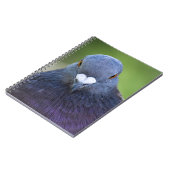 duif notitieboek (Linkerzijde)