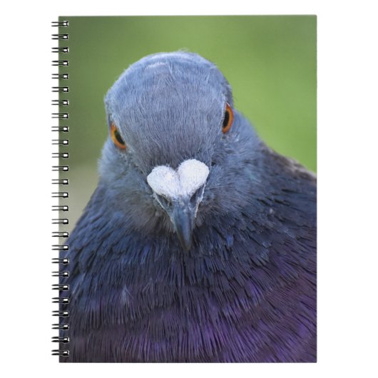 duif notitieboek (Voorkant)