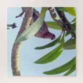 duif op een boomschilderende puzzel legpuzzel (Horizontaal)