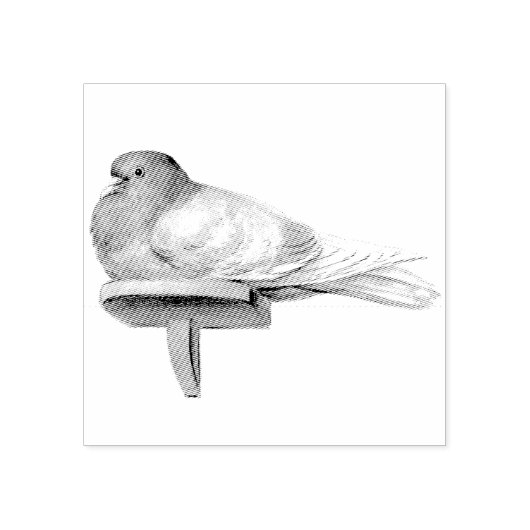 Duif op een Plank Vogel  Rubberstempel (Afrduk)
