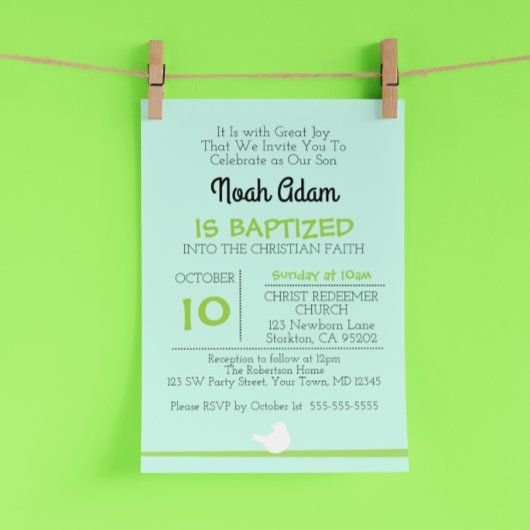 Duif op tak Blue Baptism uitnodiging