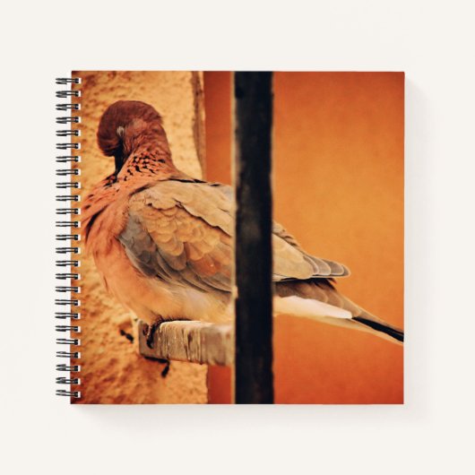 duif openen notitieboek (Voorkant)