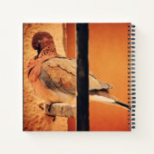 duif openen notitieboek (Achterkant)