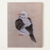 duif planner (Achterkant)