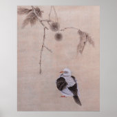 duif poster (Voorkant)