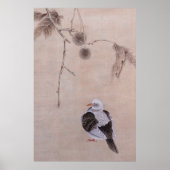Duif Poster (Voorkant)