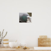 Duif Print (Keuken)
